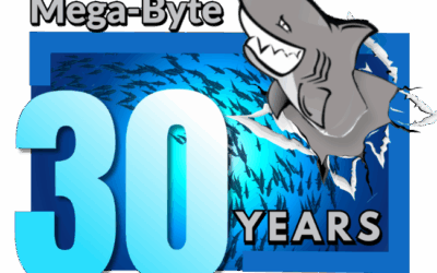 Mega-Byte Computer Services: 30 Years of Innovation, Growth, and Partnership